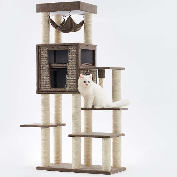 Nobby Kratzbaum Kasil